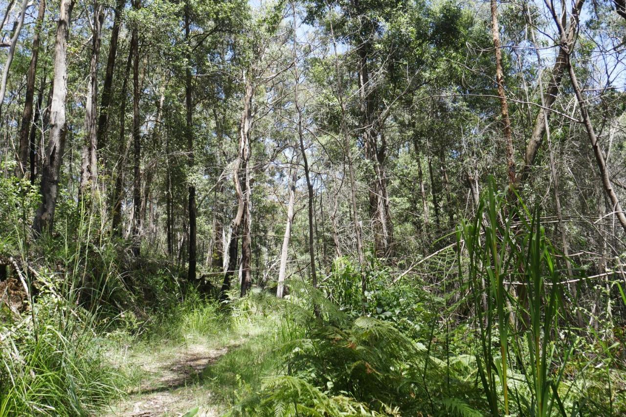 True North - 4Br Home & Garden In Bush Setting With Huge Bath Bilpin 외부 사진