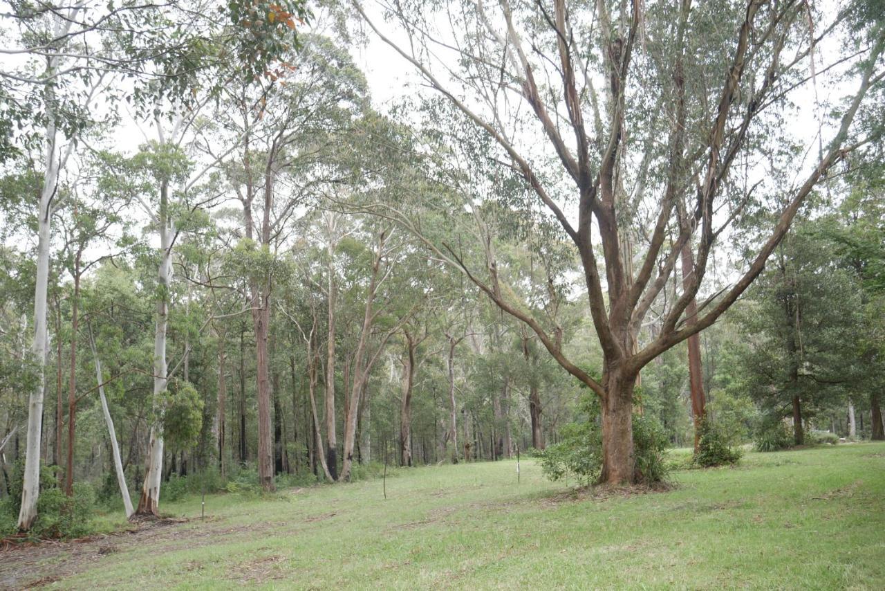 True North - 4Br Home & Garden In Bush Setting With Huge Bath Bilpin 외부 사진