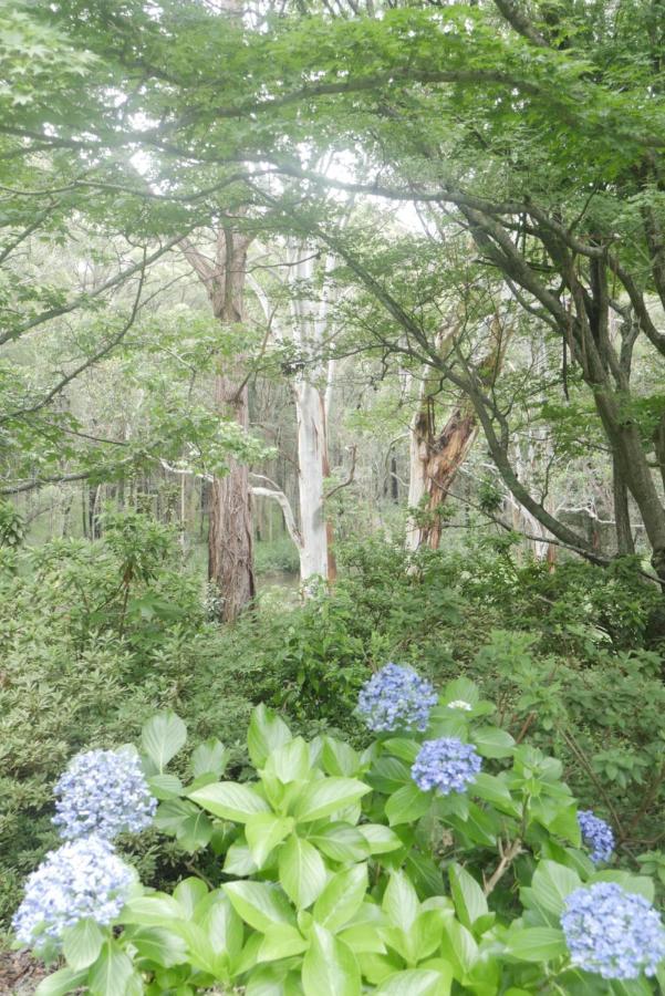 True North - 4Br Home & Garden In Bush Setting With Huge Bath Bilpin 외부 사진